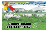 Periódico El Cebuista Junio 2013