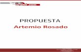 Artemio Rosado- curriculum politico