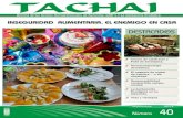 Revista Tachai Nº 40