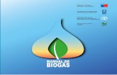 Manual de Biogás