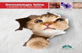 Dermatología felina. A popósito de 50 casos clínicos