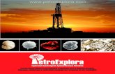 Brochure de Servicios Petroexplora