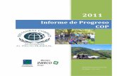 Informe de progreso 2011
