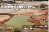 experiencias internacionales sobre explotacion en yacimiento minero