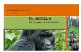 El Gorila en extinción