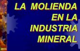 Molienda en la Industria Mineral