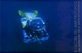 Bitácora del Mar profundo: una expedición por el Golfo de California