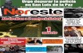 Periódico Noreste de Guanajuato #651