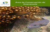 Area Conservacion Guanacaste