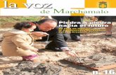 La Voz de Marchamalo (diciembre 2006)