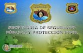 COMITE DE PROTECCIÓN CIVIL Y EMERGENCIA ESCOLAR