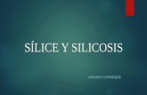 Fisiopatología Sílice y Silicosis
