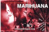 El folleto de La Verdad sobre la Marihuana