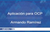 Aplicaciones OCP Reclutamiento Otoño 2014 Aiesec en Guadalajara