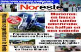 Periódico Noreste de Guanajuato #676