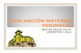 Evaluación materno perinatal - Red de Salud Islay