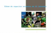 album de las especies de la fauna de El Salvador