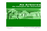 Arbores Campus Ourense