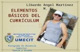 Elementos básicos del currículum LIBARDO MARTINEZ