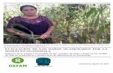 Informe evaluación impacto de sequía 2014 guatemala