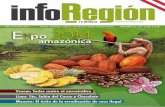 Revista InforRegión - Edición N4