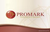 División Investigación de Mercados Promark