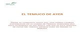 EL TEMUCO DE AYER