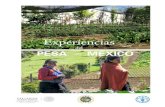 Experiencias del PESA en México