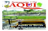 Semanario AQUI Región Paraíso Edición 52