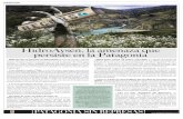 Inserto "HidroAysén, la amenaza que persiste en la Patagonia"