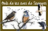 Guía de las aves de Sariegos (León)