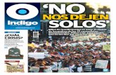 Reporte Indigo: 'NO NOS DEJEN SOLOS' 6 Noviembre 2014