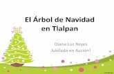 El Árbol de Navidad en Tlalpan