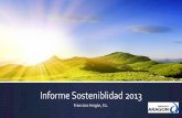 Informe Sosteniblidad 2013