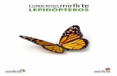 Lepidópteros 1
