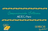 Comunicación interna AIESEC Perú