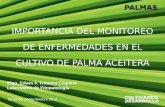 Importancia monitoreo enfermedades palma