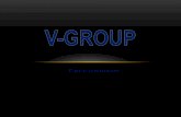 Catalogo V-GROUP