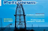 Enero 2015 - Petroleum 300