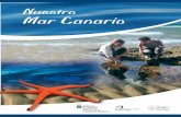 Monografia Nuestro mar canario (Oceanografíca).