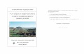 Sostenibilidad Ambiental - Documento de Síntesis