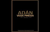 CV Adán Vega Pineda