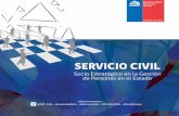 Brochure Servicio Civil
