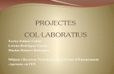 Projectes col·laboratius