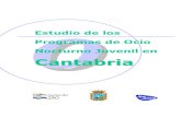 Estudio de los Programas de Ocio Nocturno Juvenil en Cantabria