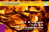 2.  El fuego en la naturaleza de Andrés Nájera Díaz