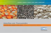 Índice de empresas de Granos y Bebidas - IDEP Tucumán