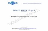 Portafolio de servicios blue risk s a s 2015