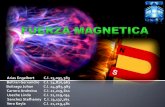 Fuerza magnetica
