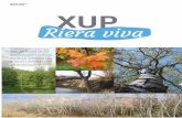 Revista 1 - Projecte Xup Riera Viva
